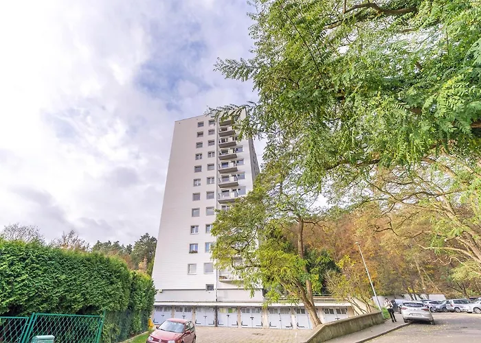 Glow - Opera Lesna 索波特